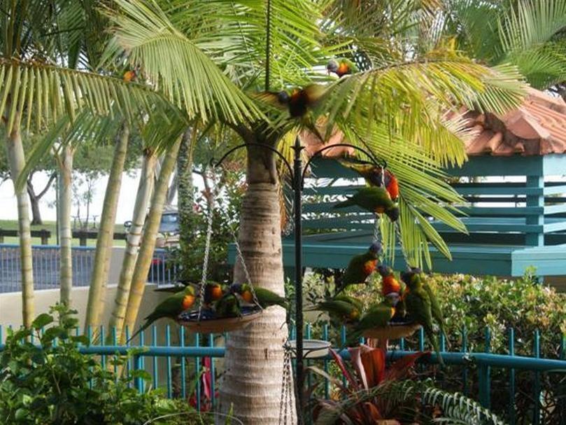 The Esplanade Riverview Holiday Apartments Maroochydore Eksteriør bilde